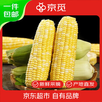 京觅 云南金银水果玉米 净重8斤装单果280g+ 新鲜蔬菜 源头直发