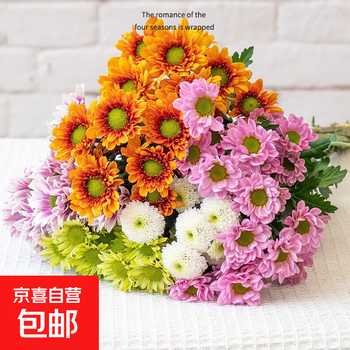2026年4月26日更新【万能白菜价】的图片 第46张