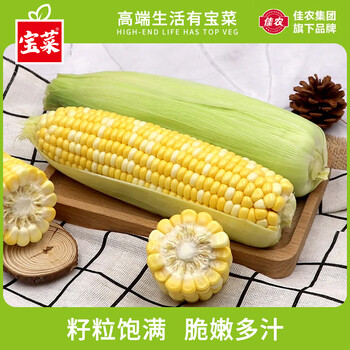 2026年6月16日更新【万能白菜价】的图片 第31张