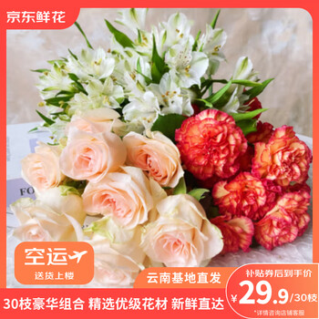 京东鲜花玫瑰10枝+康乃馨10枝+水仙百合10枝鲜切花礼物鲜花节日源头直发