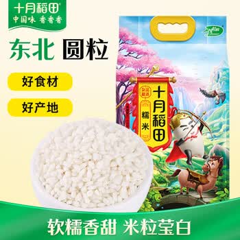 十月稻田 糯米 5斤 新米 东北圆粒糯米 五谷杂粮米 包粽子糯米粉  端午