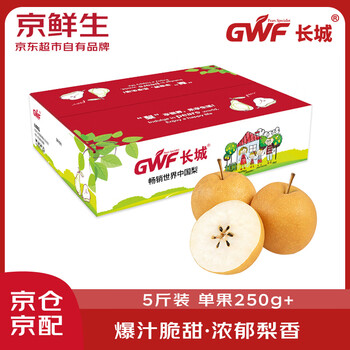 京鲜生 长城丰水梨 5斤装 单果250g+ 生鲜端午水果