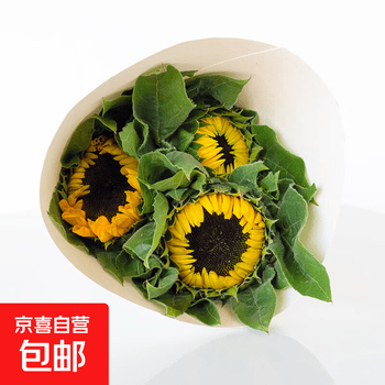 2026年4月26日更新【万能白菜价】的图片 第45张
