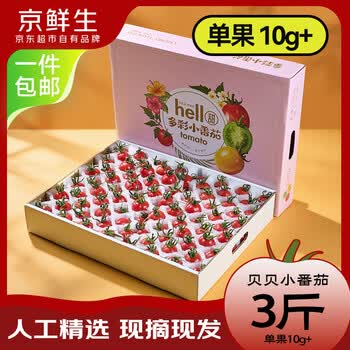 京鲜生山东千禧小番茄 净重3斤端午礼盒装单果10g+  生鲜水果源头直发