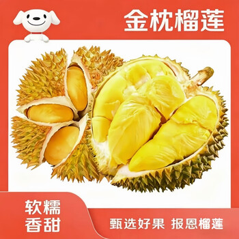 芫曦新鲜榴莲正宗泰国金枕榴莲整颗进口水果带壳鲜果金枕头巴掌榴莲 净重2-3斤（包3-4房）