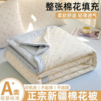 小清新双层纱宽包边棉花夏被夏凉被床上用品 蓝点点 150x200cm单夏被