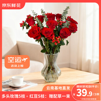 京东鲜花多头玫瑰5枝+红豆5枝+配草1束鲜切花香水百合鲜花节日源头直发