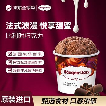 哈根达斯【欧洲爆款】比利时巧克力冰淇淋460ml/桶 荷兰版