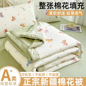 小清新双层纱宽包边棉花夏被夏凉被床上用品 星星小马 150x200cm单夏被