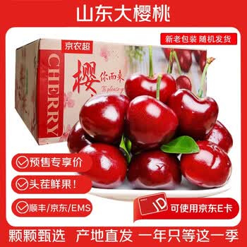 京农超【头茬预定】山东大樱桃 新鲜水果国产车厘子 时令生鲜水果端午节 4斤(净重) 精选果 单果22-26mm