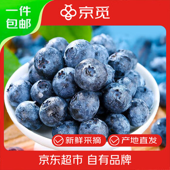 京觅 云南高山蓝莓 大果100g*12盒单果18mm+ 生鲜水果 源头直发