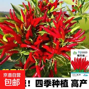 2026年4月25日更新【万能白菜价】的图片 第17张