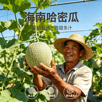 2026年5月17日更新【万能白菜价】的图片 第37张