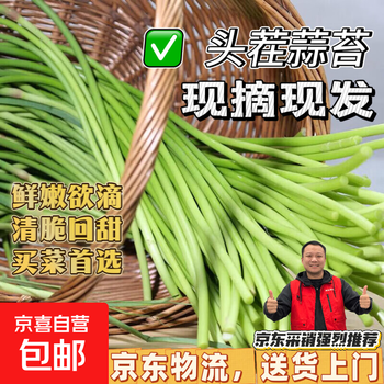 京喜自营农家自种蒜苔生鲜蔬菜超市同款即食蒜苔超市批发买菜首选 新鲜蒜苔1斤