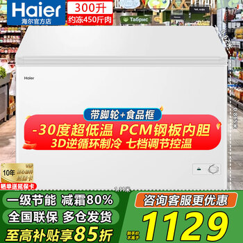 海尔冰柜商用200/300升大容量全冷冻柜一级能效节能省电超低温速冻冰柜小型家用无需频繁除霜 【最实惠 300升 】一级能效丨钢板内胆 抗菌减霜