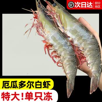 东上御品 厄瓜多尔白虾 盐冻超大号3斤 南美白虾青虾 生鲜 虾类 海鲜 3斤(净重)  【单只冻】17-21cm