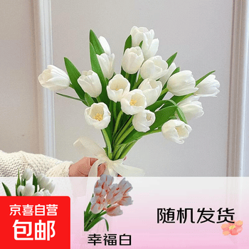 2026年4月24日更新【万能白菜价】的图片 第3张