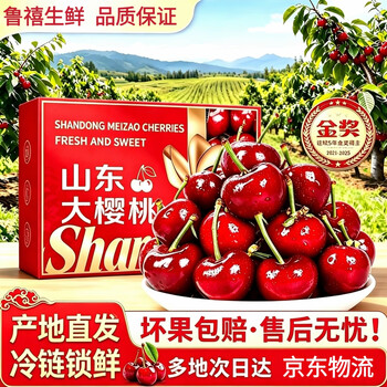 鲁禧海岸头茬大樱桃 新鲜水果 国产车厘子 山东樱桃 当季时令生鲜 端午节 4斤(净重) 带箱5斤家庭装 优选果22-26mm