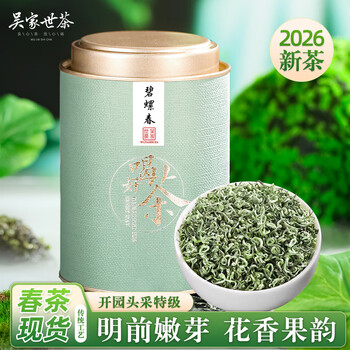 吴家世茶特级明前碧螺春绿茶2026年新茶春茶茶叶嫩芽花果香高山云雾茶罐装 100g*1罐