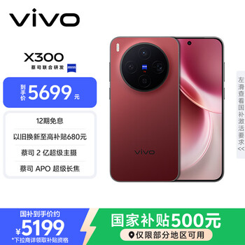 vivo X300 16GB+512GB 好运红 蔡司2亿超级主摄 蔡司APO超级长焦 5年持久流畅OriginOS 6 拍照 AI手机
