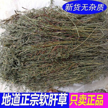 软肝草野生中药材软肝草正宗铁甲草益肝草草500克包由图片色