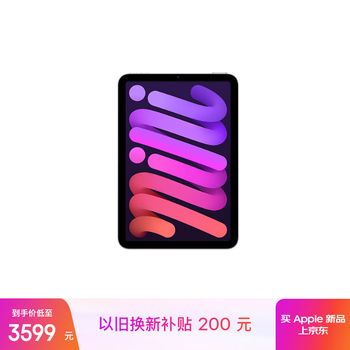 Apple/苹果 iPad mini (A17 Pro) 8.3英寸 平板电脑(128G WLAN版/mini7/MXN93CH/A)紫色