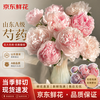 京东鲜花山东A级大头芍药【随机颜色品种】5枝基地现采新鲜源头直发