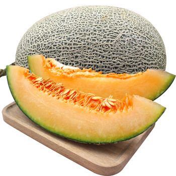 现摘农家牛奶哈密瓜10斤新鲜日本品种静冈小蜜甜瓜网纹瓜海南水果
