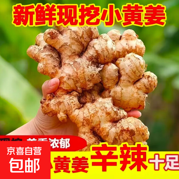 2026年6月8日更新【万能白菜价】的图片 第15张