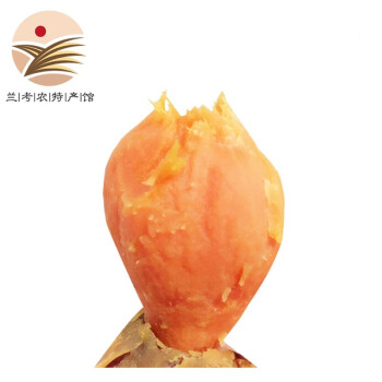 兰禾湾红薯新鲜 地瓜番薯小果2.5kg 河南特产