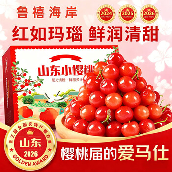 鲁禧海岸山东小樱桃黄水晶国产黄金雷尼车厘子JD物流多地次日达 500g(净重) 【125g*4盒】