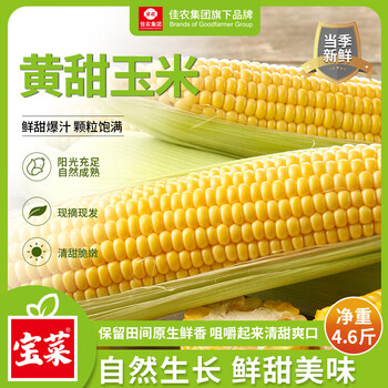 佳农宝菜山东新鲜水果玉米带绿皮单根300g+净重4.6斤4-7根源头直发
