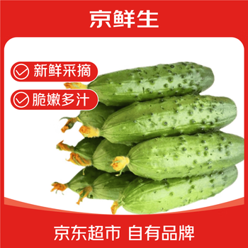 京鲜生 山东童年旱黄瓜 净重3斤单果100g+水果小青瓜 时令轻食 源头直发