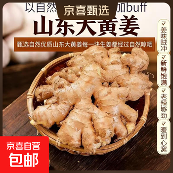 【东东买菜】潍坊大姜山东大黄姜新鲜生姜老姜嫩姜现挖土姜整箱 山东大姜1斤净重0.8斤