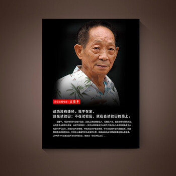 禾佳成斯哆瑞 科学家装饰画伟人画像无框名人名言挂画学校教室走廊