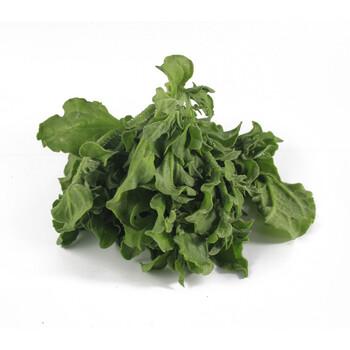 奥一农场冰草约300g冰菜新鲜采摘蔬菜非洲南非水晶新鲜沙拉南极冰草菜