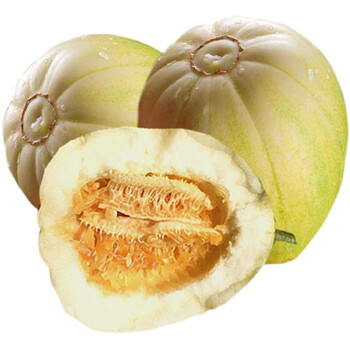 井掌柜【jd物流】东北香瓜 京密小甜瓜新鲜脆甜瓜白糖罐特产时令水果