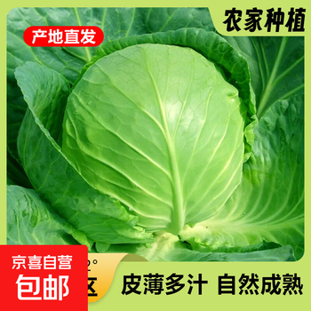2026年5月29日更新【万能白菜价】的图片 第13张