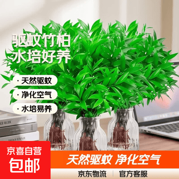 2026年10月14日更新【万能白菜价】的图片 第8张