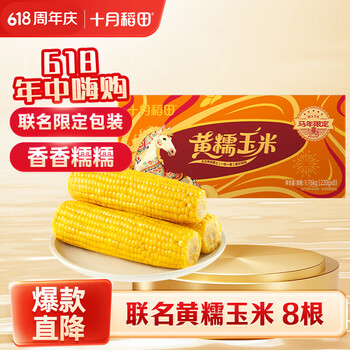 十月稻田 黄糯玉米 3.52斤(220g*8根) 东北粘苞米 早餐杂粮 马年限定