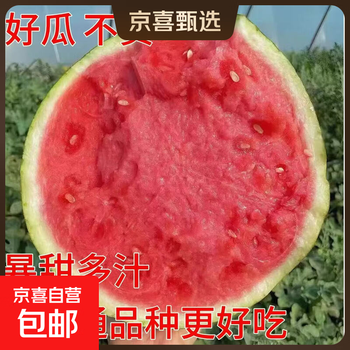 头茬麒麟美都西瓜现摘现发新鲜西瓜无籽瓜老人孕妇新鲜水果一整箱 5-7斤【新鲜现摘】