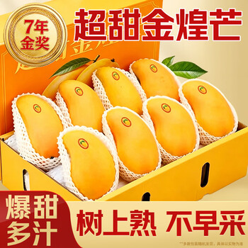 田良季金煌芒源头直发海南芒新鲜芒果广西纸核果大青新生鲜水果送礼品物 优选果【单果150g+】 9斤装【蕞划算】净重8斤