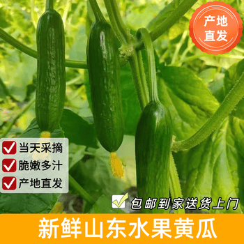 2026年5月28日更新【万能白菜价】的图片 第76张