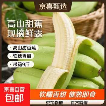 高山甜香蕉正宗当季水果青皮现摘绿皮新鲜鲜露生鲜 云南高山绿皮香蕉【软糯香甜】放置催熟后食用 带箱9斤