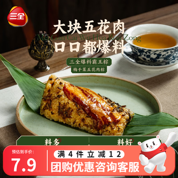 三全端午节粽子真空粽子早餐礼盒送礼 梅菜五花肉霸王粽200g（单只装）