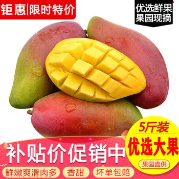 玖原农珍 海南三亚贵妃芒果 生鲜水果新鲜现摘芒果 含箱5斤净重4.5优选装（150-300g）