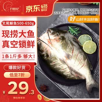 钓鱼记斑点叉尾鮰鱼1斤-1.3斤 二去净重 冷冻 烤鱼红烧烤生鲜 鱼类海鲜