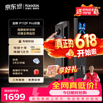 凯迪仕（KAADAS）【京东专供】智能锁指静脉人脸可视猫眼指纹智能门锁P11ZFPro双摄