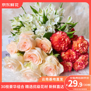 京东鲜花玫瑰10枝+康乃馨10枝+六初花10枝鲜切花礼物鲜花源头直发