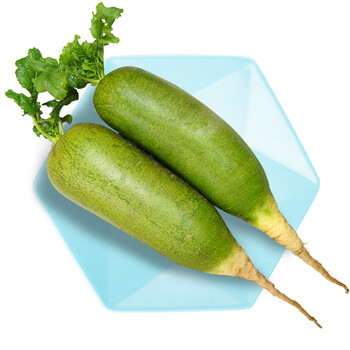 青沃 天津特产沙窝萝卜 青萝卜 水果萝卜 新鲜蔬菜 非潍坊潍县萝卜 5